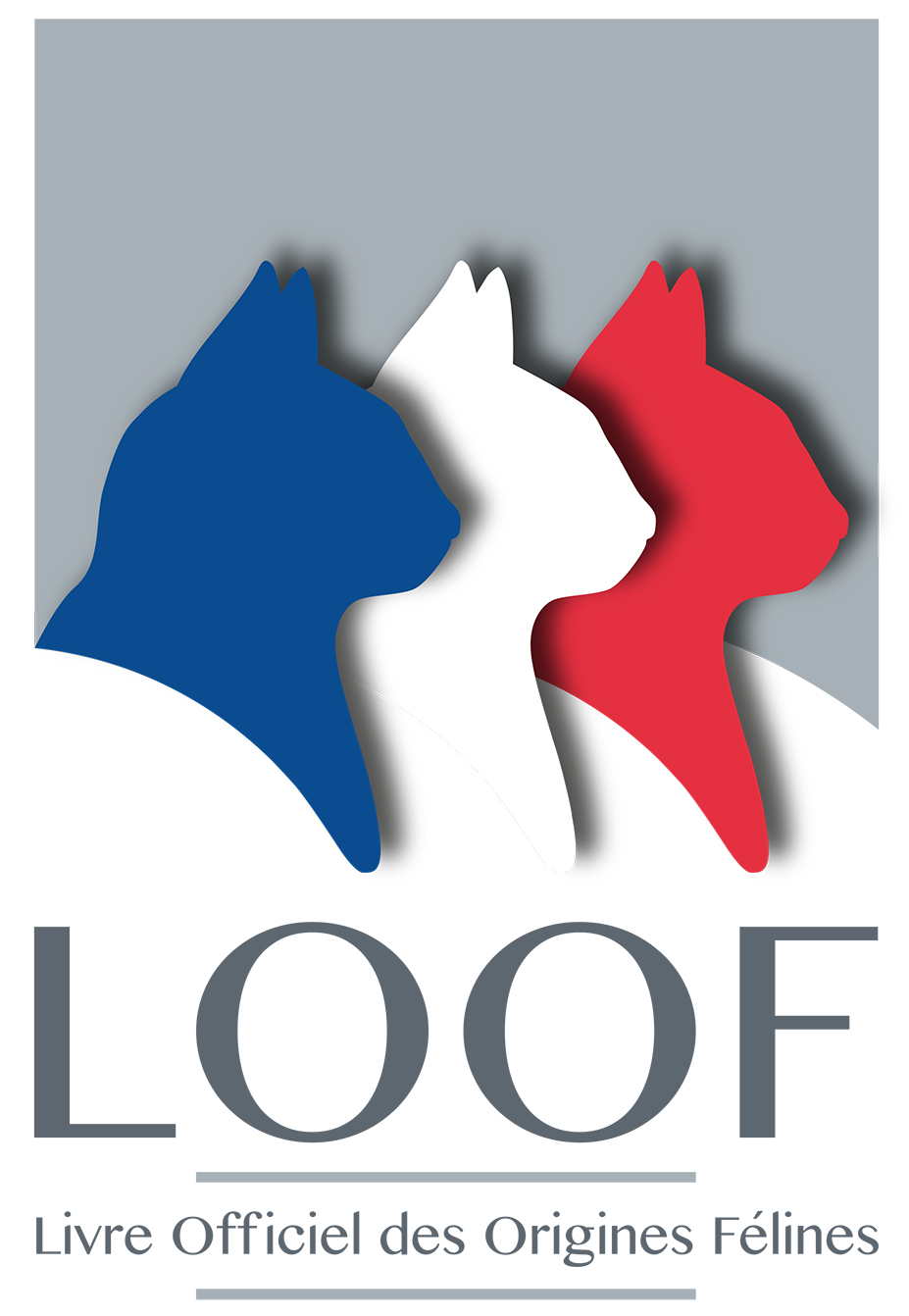 Le blog du LOOF